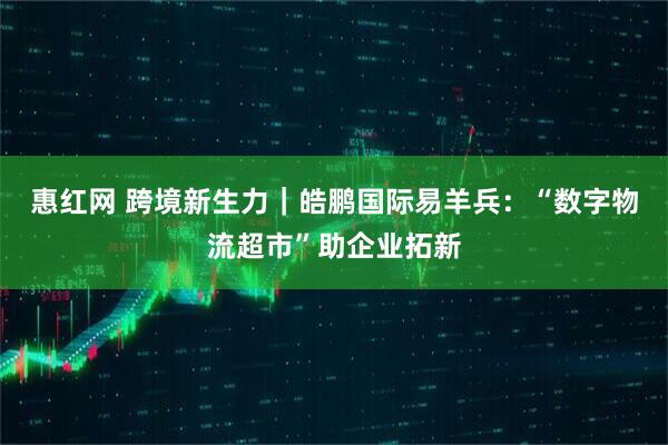 惠红网 跨境新生力｜皓鹏国际易羊兵：“数字物流超市”助企业拓新