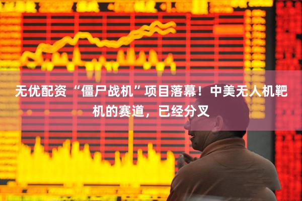 无优配资 “僵尸战机”项目落幕！中美无人机靶机的赛道，已经分叉